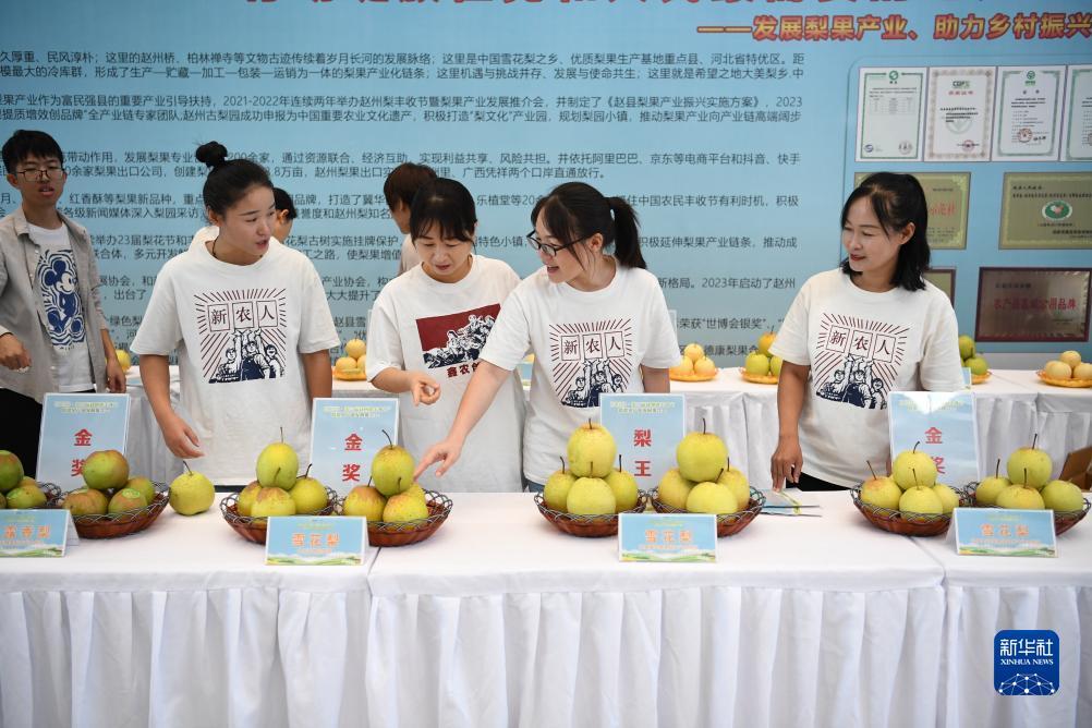 ag8游戏登陆